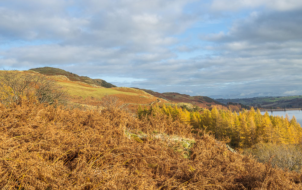 Bampton Fell Bampton Fell